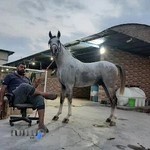 باشگاه سوارکاری ناصری