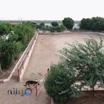 باشگاه سوارکاری موگهی