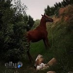 هیئت سوارکاری استان خوزستان