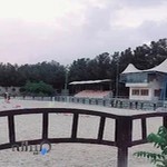 باشگاه سوارکاری غزالی