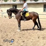 باشگاه سوارکاری کلاک