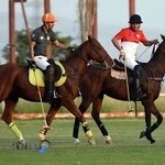 باشگاه فرهنگی ورزشی سوارکاری و چوگان ذوالجناح نزاجا