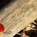 طلا فروشی ایران ژس