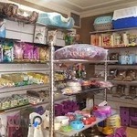 کلینیک دامپزشک دکتر پیمان