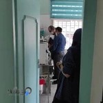 کلینیک دامپزشکی پایتخت