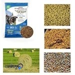 پت شاپ اندرزگو