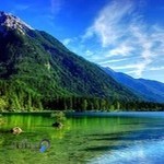 استخر‌ افق