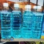 تهیه غذای گلستان