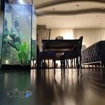 شرکت طراح نت