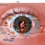 مرکز طب سنتی طراوت تن