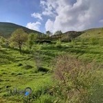 طب سنتی حکیم سنندج