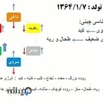 مرکز تحقیقات حجامت پزشک خوب ، بیمار باهوش