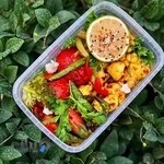 تهیه غذای رژیمی هلث لند