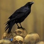 اتاق فرار مردگان