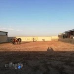 باشگاه چوگان نقش جهان اصفهان