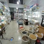 پرنده سرای تبریز کاکاتیل