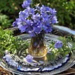 باشگاه تیراندازی با کمان سهند