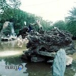 (مرکز پاتوبیولوژی) آزمایشگاه دانش۱