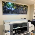 آزمایشگاه پاتوبیولوژی نمونه