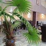 رستوران پیمان