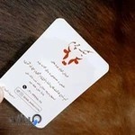 شیک چرم شعبه جدید