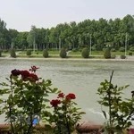 موسسه حسابداری جمشید امور مالیاتی و بیمه ایی