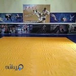 خانه جودو شهرستان برخوار(المپیک)