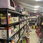 پت شاپ میراندا