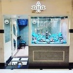 طلا و جواهر میثم انصار