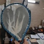 فرادانه نمایندگی انحصاری خوراک دام و طیور و آبزیان