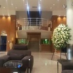 تالار آمیتیس