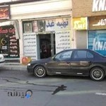 تهيه غذای قائم