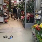 موسسه کشاورزی جهان کودک