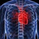 دکتر سارا چقازردی