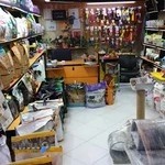 پت شاپ بینگو