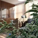 لیزر مو فرداد