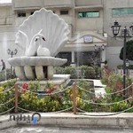 کافه دمنوش صدف