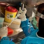 آزمایشگاه بهبد کرج