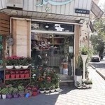 گلفروشی شیلان