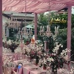 داروخانه دکتر حجاران