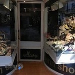 کیف و کفش سرین