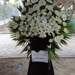 گل فروشی جردن