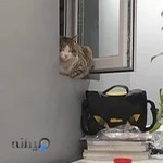 آژانس دیجیتال مارکتینگ