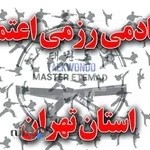 آکادمی هنرهای رزمی استاد مجتبی اعتماد