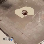 آیس اسپاگتی