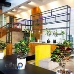 رایمون مدیا