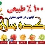 آبمیوه بستنی دهکده سلامت