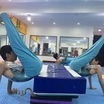 (آکادمی قهرمانی عبدالهی (ژیمناستیک