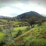 فست فود باران