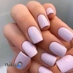 زیبایی ارکیده